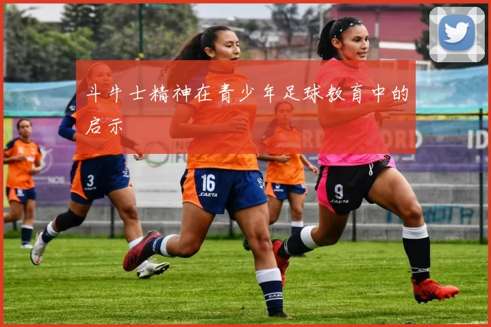 斗牛士精神在青少年足球教育中的启示