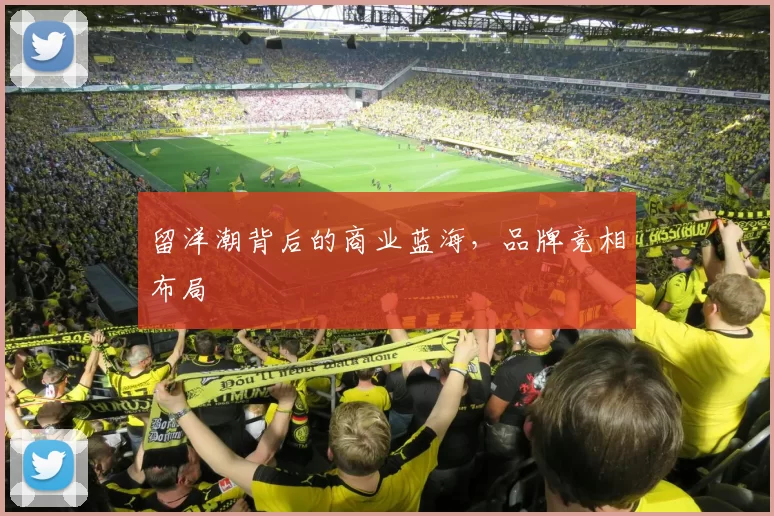 留洋潮背后的商业蓝海，品牌竞相布局