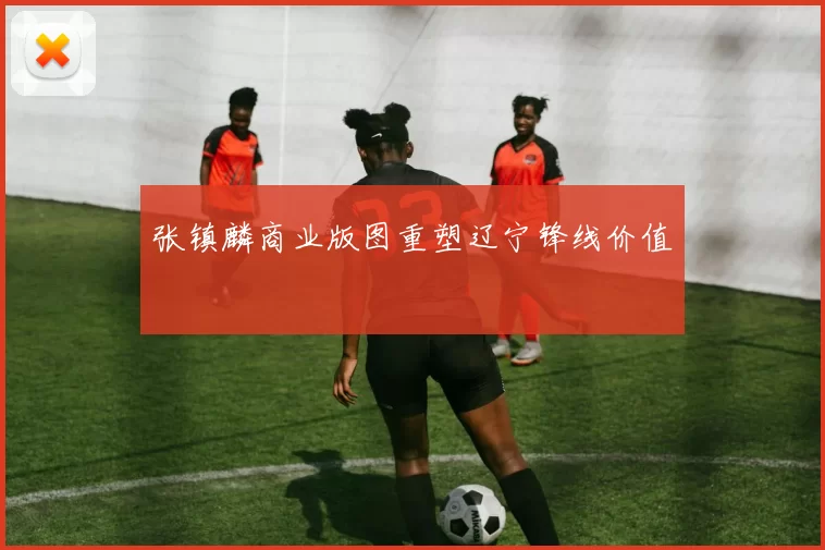 张镇麟商业版图重塑辽宁锋线价值