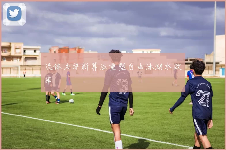 流体力学新算法重塑自由泳划水效率