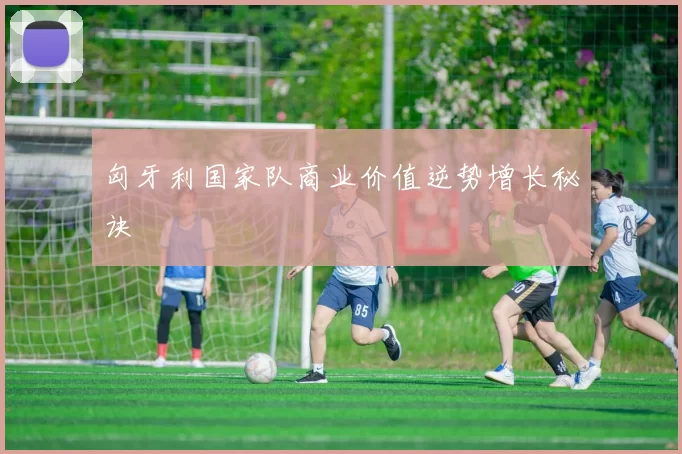 匈牙利国家队商业价值逆势增长秘诀