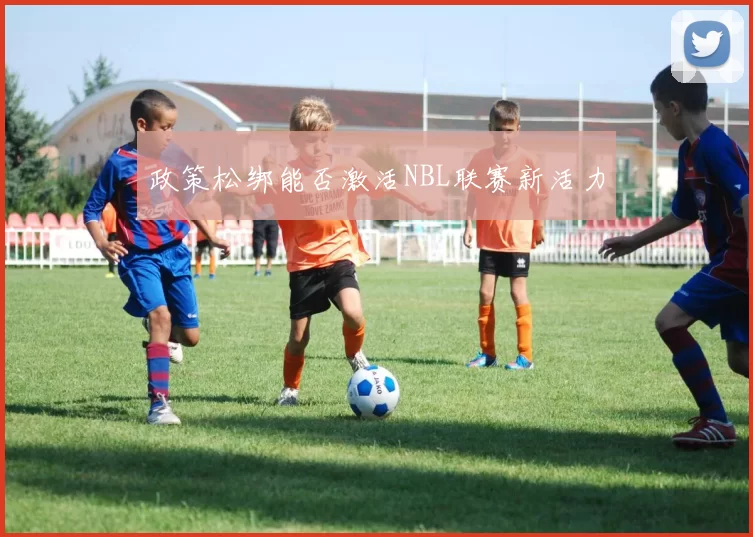 政策松绑能否激活NBL联赛新活力