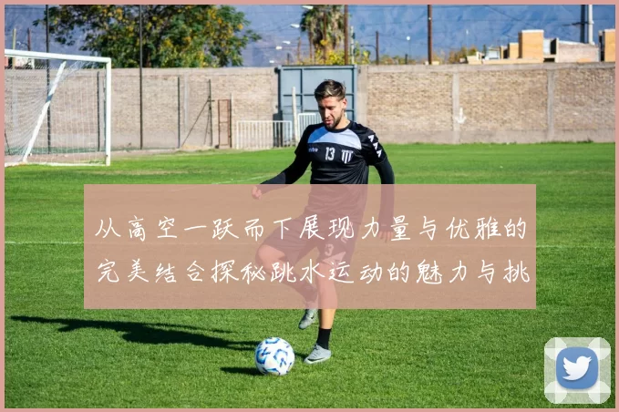 从高空一跃而下展现力量与优雅的完美结合探秘跳水运动的魅力与挑战